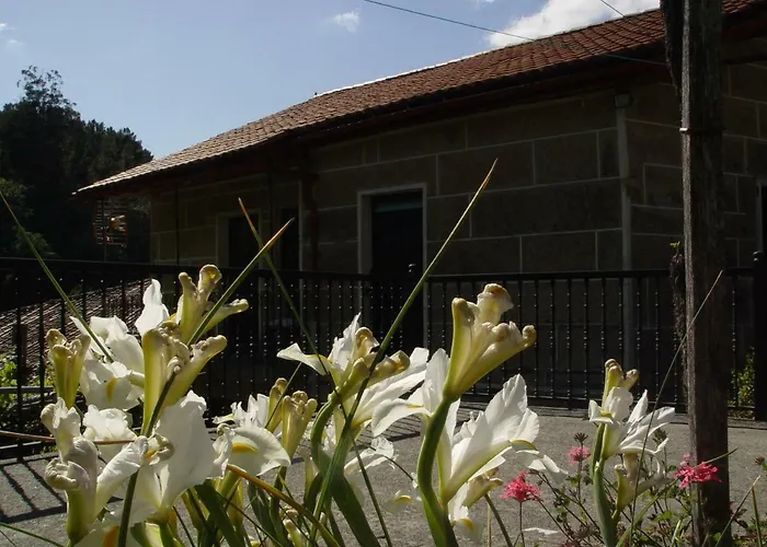 Casa En 別荘 Vinoas